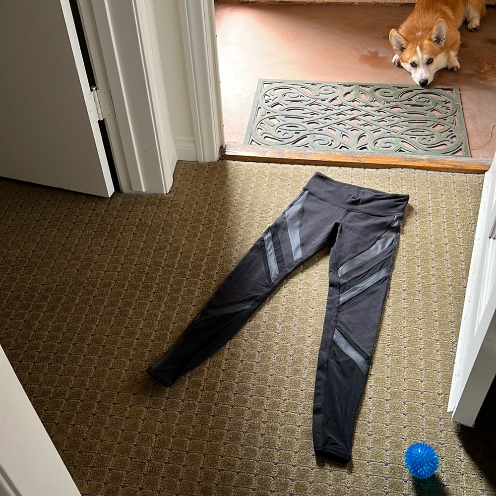 Alo leggings!